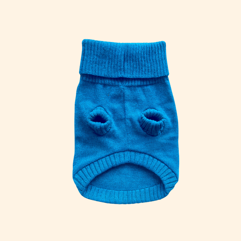 Cerulean Blue British Wool Dog Jumper