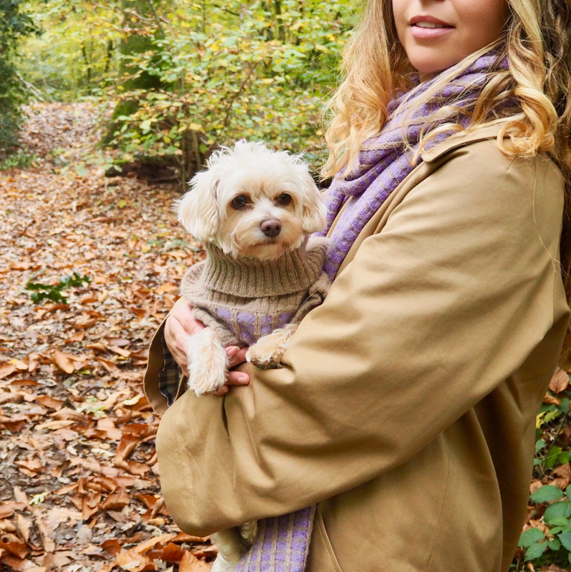 Purple Dog Jumper in Pure Merino Lambswool