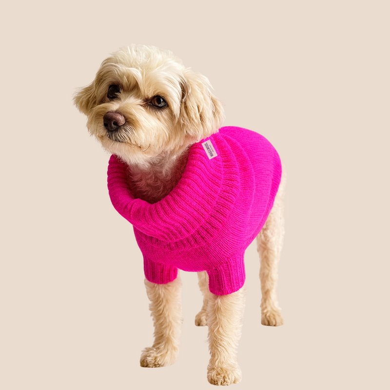 Fandango Pink British Wool Dog Jumper