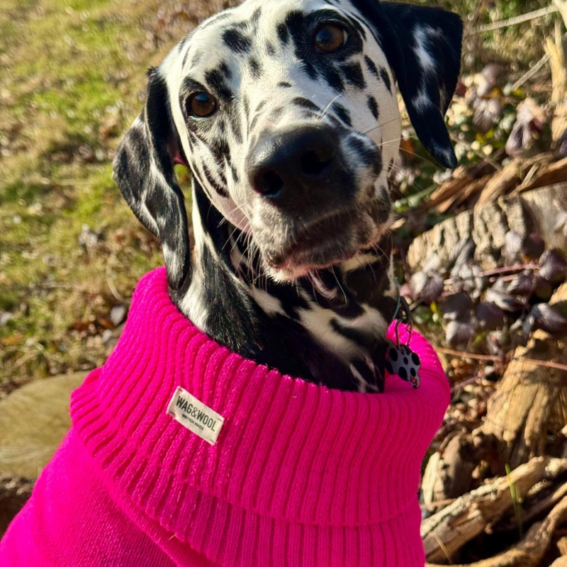 Extra Large British Wool Dog Jumper