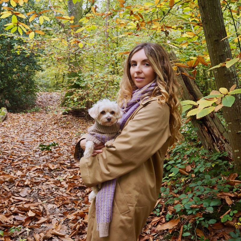 Purple Dog Jumper in Pure Merino Lambswool