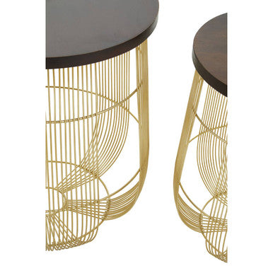Set of 2 Brown Mango Wood Side Tables with Gold Finish Metal Base, Agra
