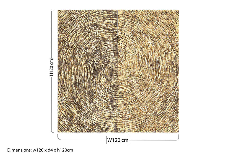 Modello Wood Carving Gold Finish Wall Art