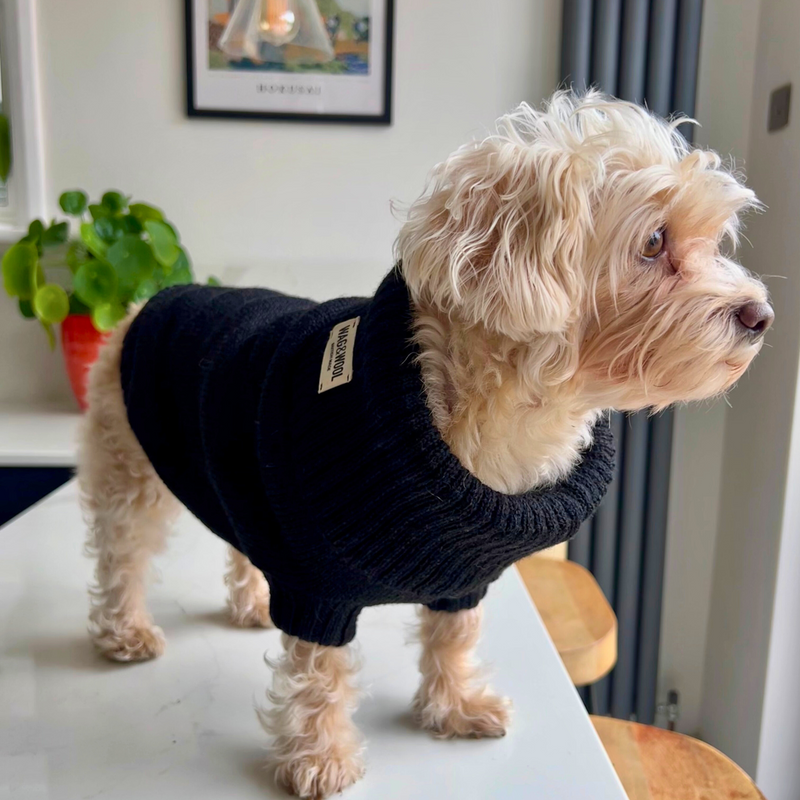 Black British Wool Dog Jumper