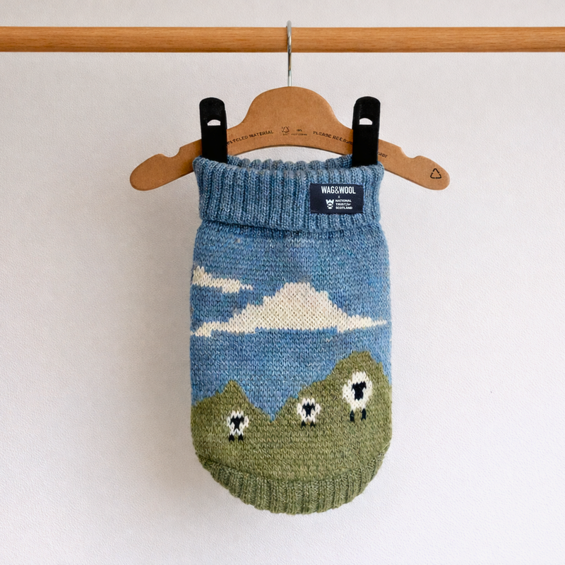 Blackface Sheep Dog Jumper in British Wool