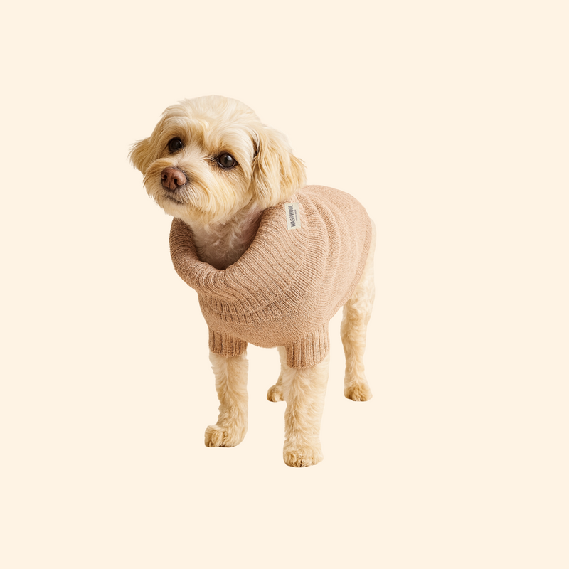 Oatmeal British Wool Dog Jumper