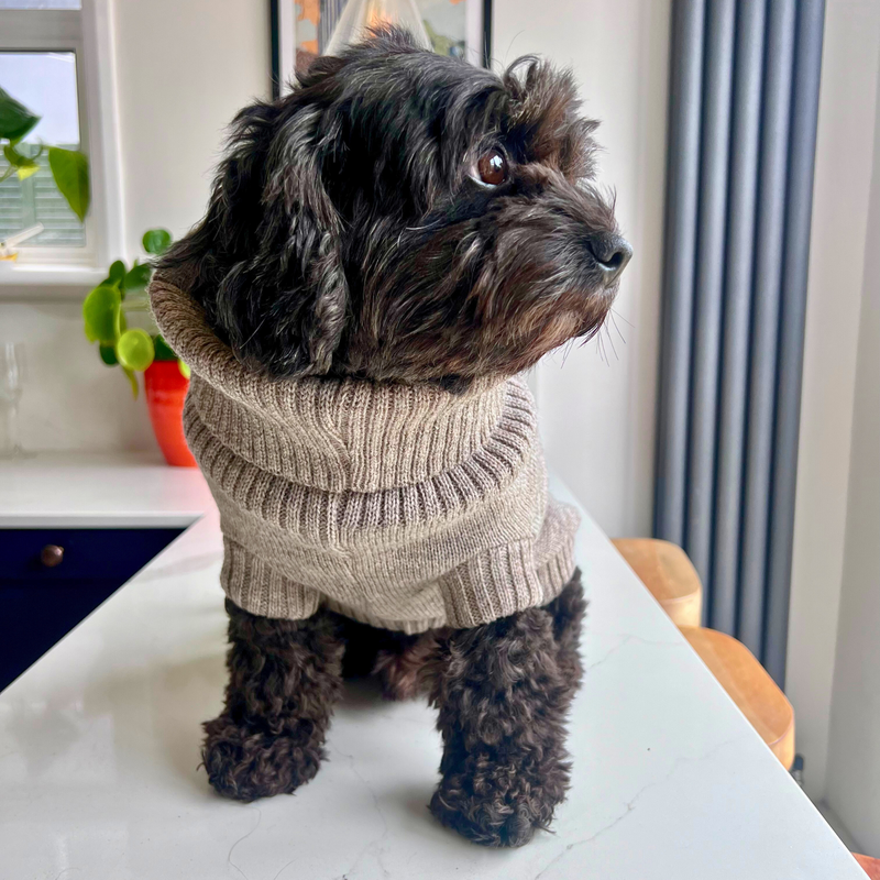 Oatmeal British Wool Dog Jumper