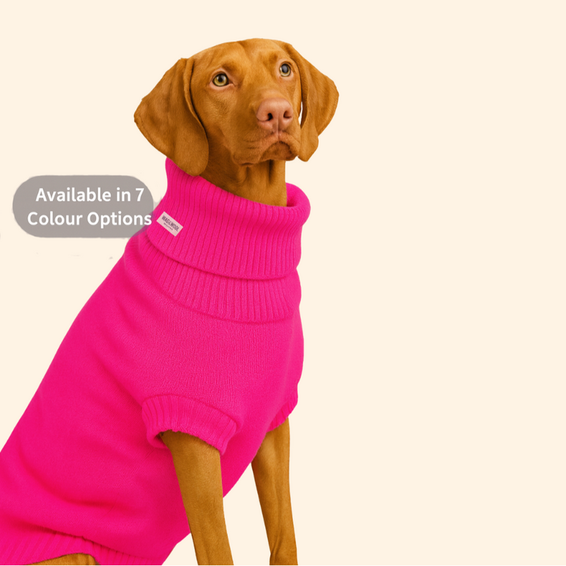 Extra Large British Wool Dog Jumper