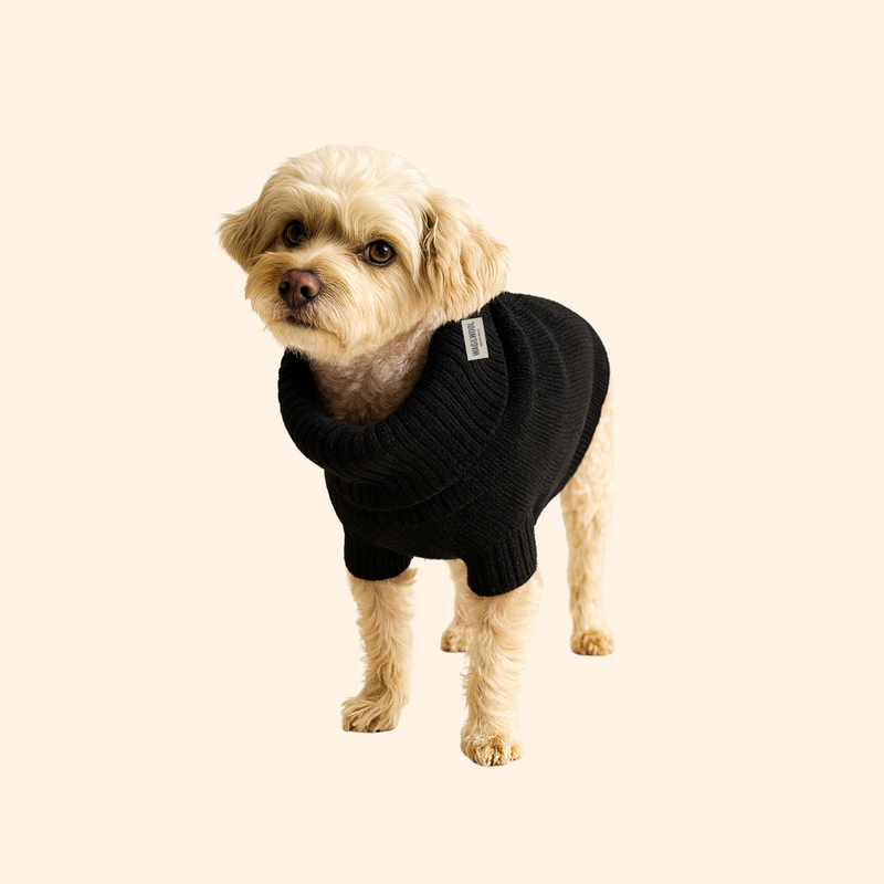 Black British Wool Dog Jumper
