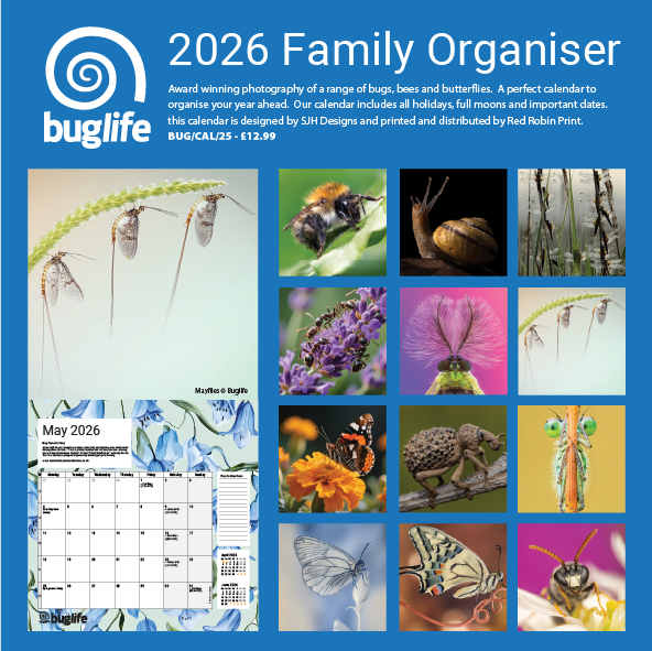 Buglife Calendar and Family Organiser