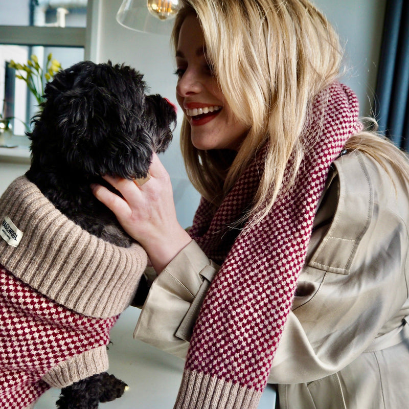 Burgundy Merino Lambswool Dog Jumper