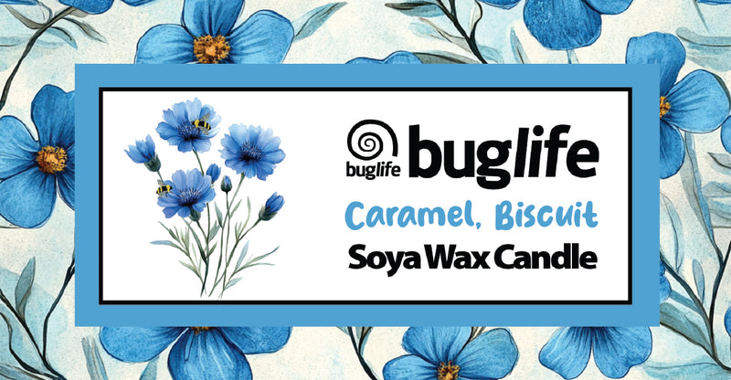 Caramel Biscuit Soya Wax candle