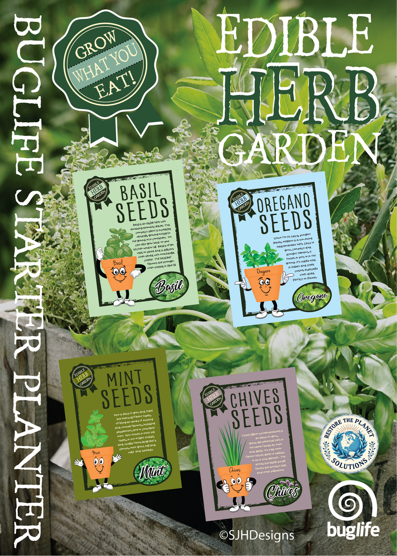 Buglife Herb Starter Planter Set