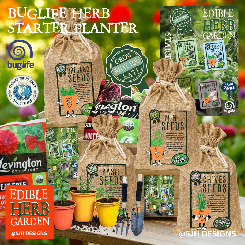 Buglife Herb Starter Planter Set