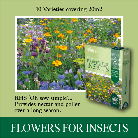 RHS Shake and Sow Flowers for Insects