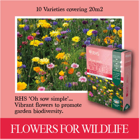RHS Shake and Sow Flowers for Wildlife Bright mix