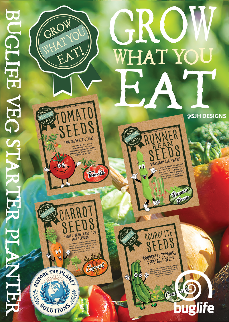 Buglife Vegetable Starter Planter Set