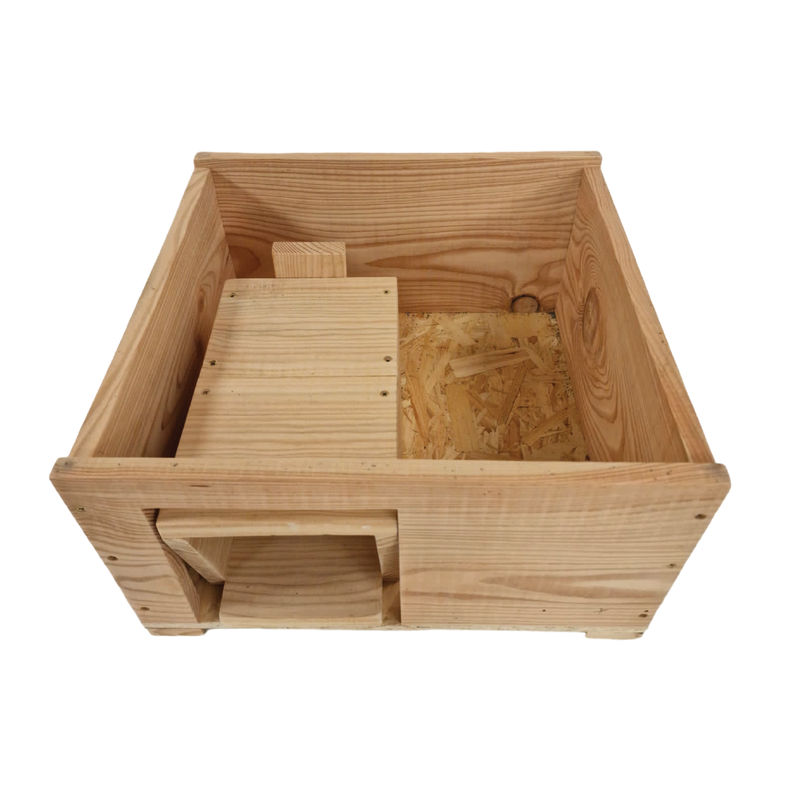 Henry The Hedgehog Box