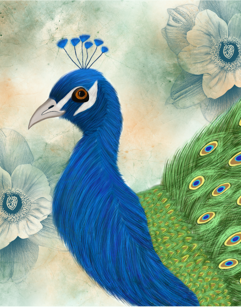 The Kent Peacock
