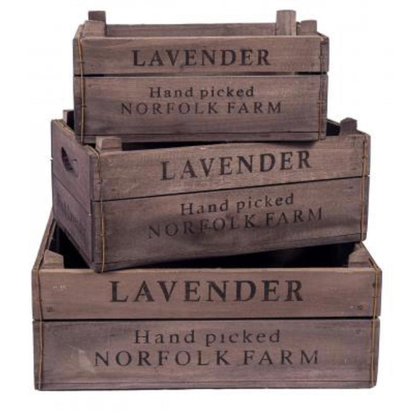 Set of 3 Wooden Lavender Boxes