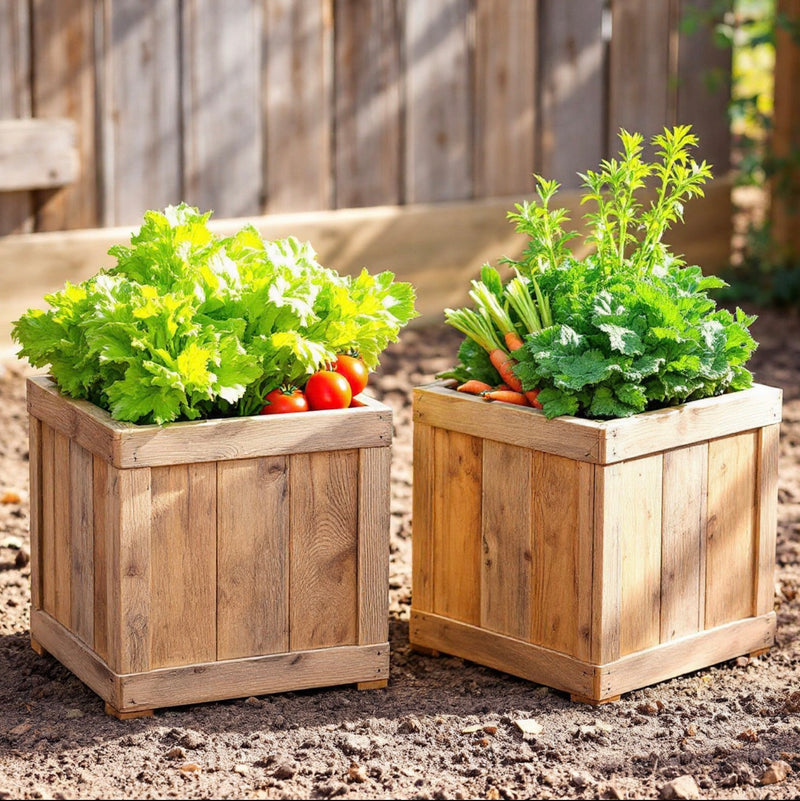British Larch Square Planters