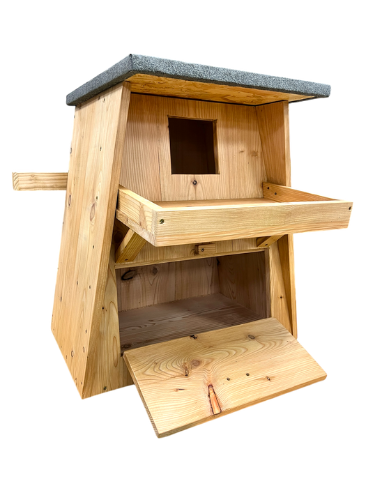 Barn Owl Box
