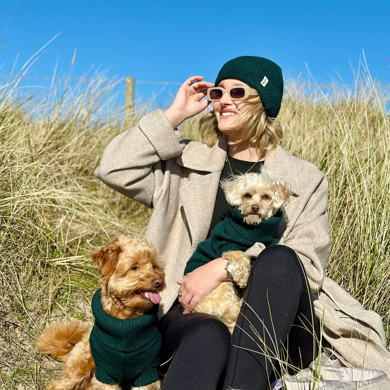 Forest Green British Wool Dog Jumper