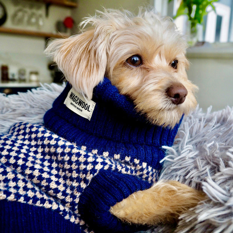 Navy Dog Jumper In Merino Lambswool