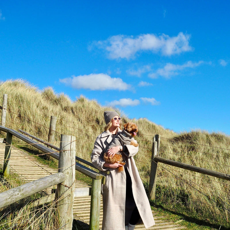 Oatmeal British Wool Dog Jumper