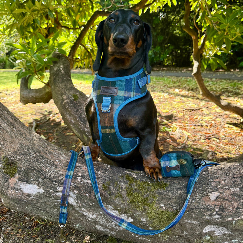 Heritage Hounds Tartan Poo Bag Holder