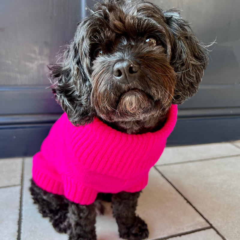 Fandango Pink British Wool Dog Jumper