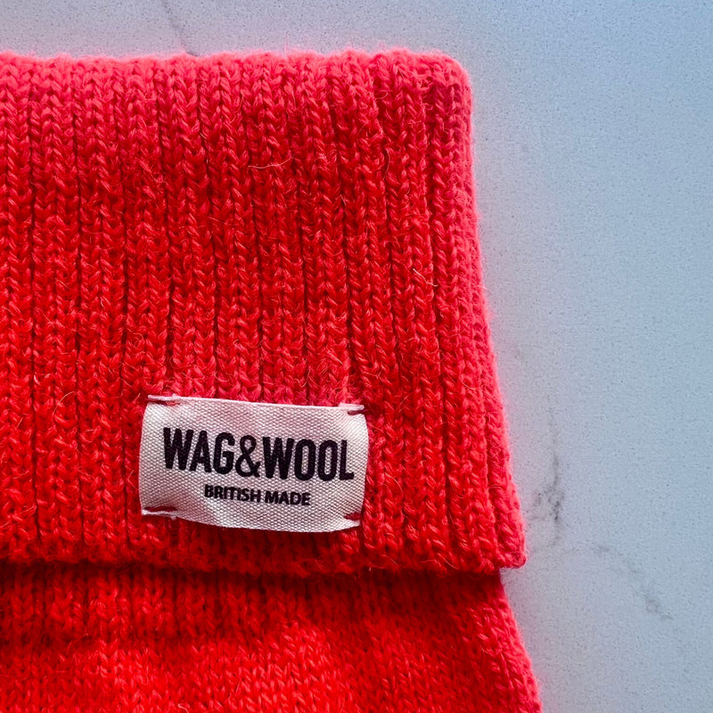 Lava Orange British Wool Dog Jumper