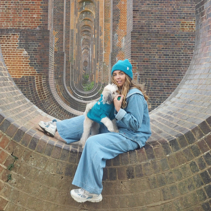 Cerulean Blue British Wool Dog Jumper