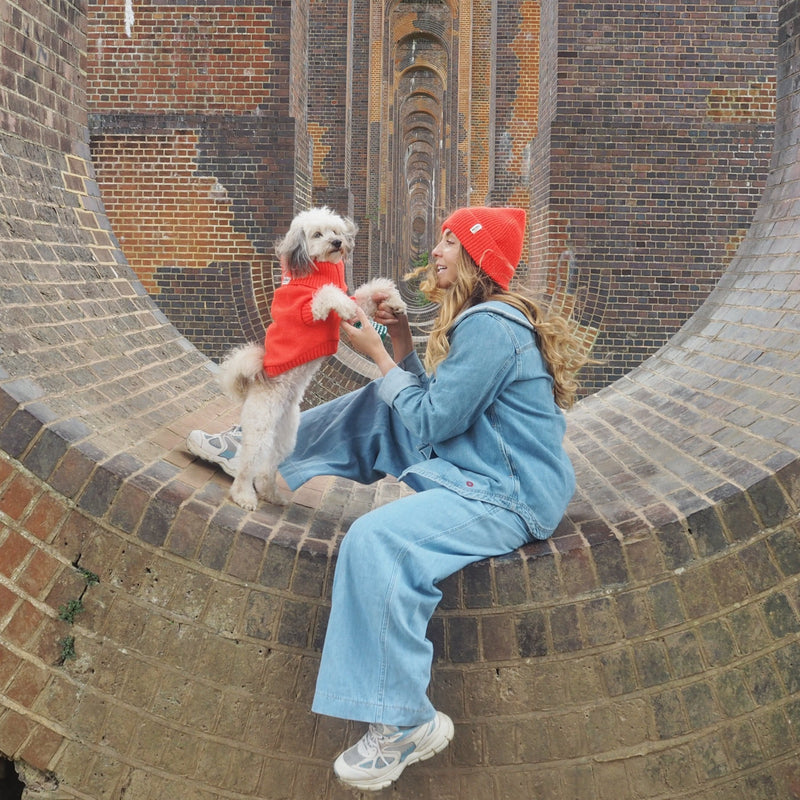 Lava Orange British Wool Dog Jumper