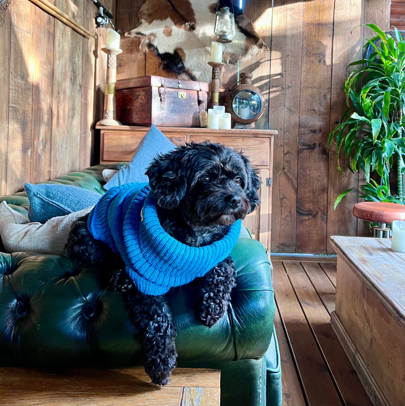 Cerulean Blue British Wool Dog Jumper