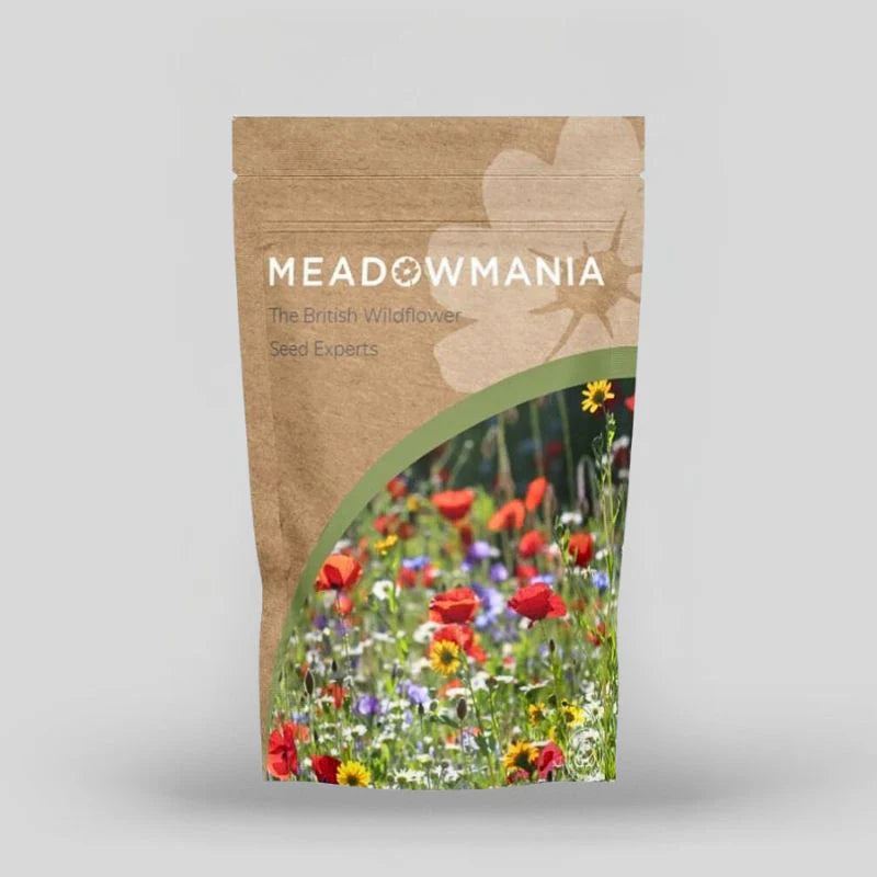Meadowmania Native Cornfield Annuals Wildflower Seed Pouch