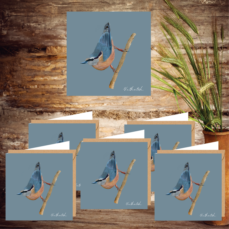Sammy's Nuthatch Notecards