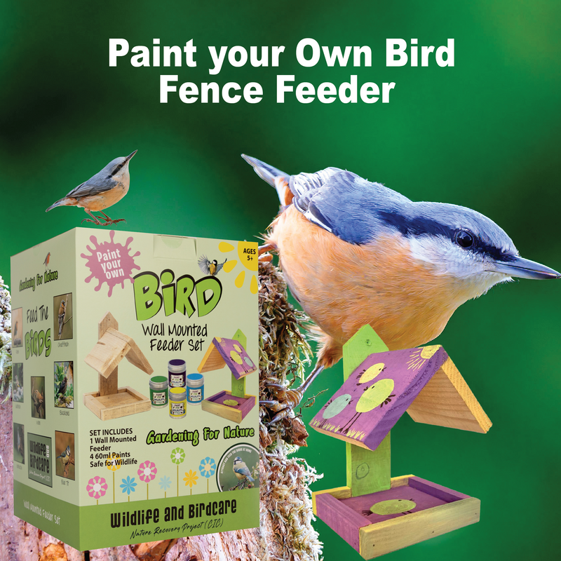 Paint your Own Wild Bird Hanging Feeder