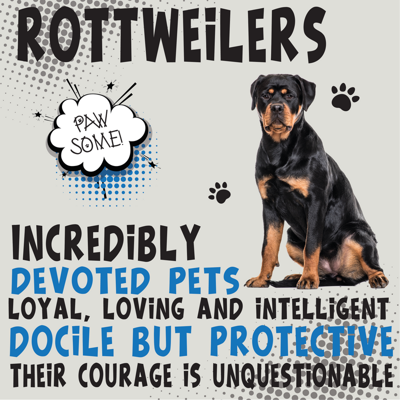Rottweiler Metal Wall Art