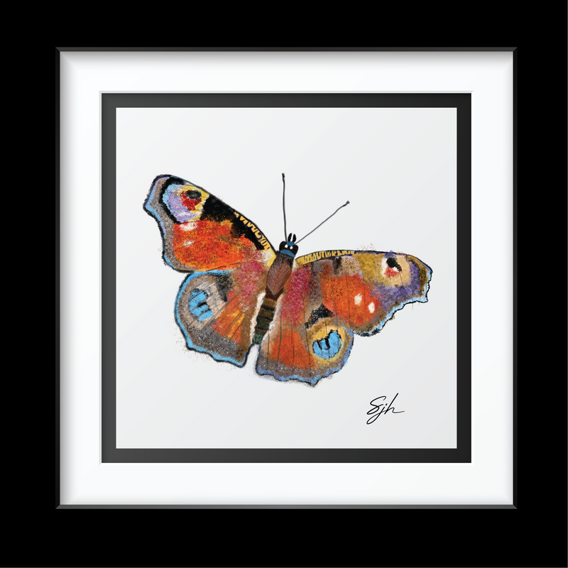 Sammy's Peacock Butterfly Art Print