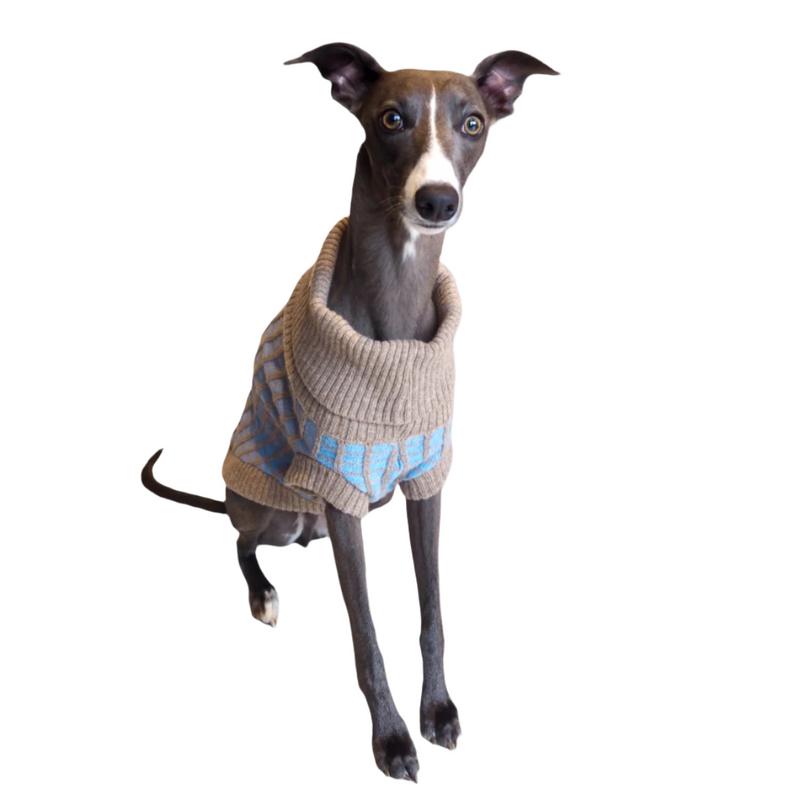 Purple Dog Jumper in Pure Merino Lambswool