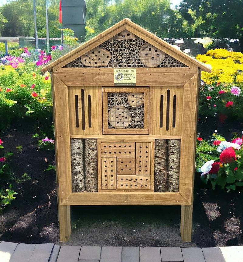 Urban Giant insect Education Study Centre