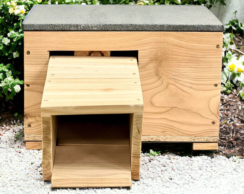 The WBC Heidi Hedgehog Box