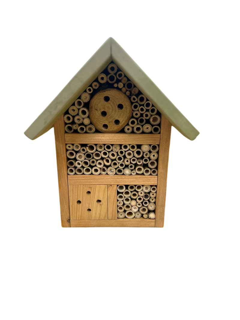 Baby Bugg Bug Hotel