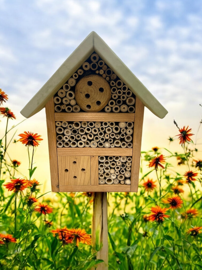 Baby Bugg Bug Hotel