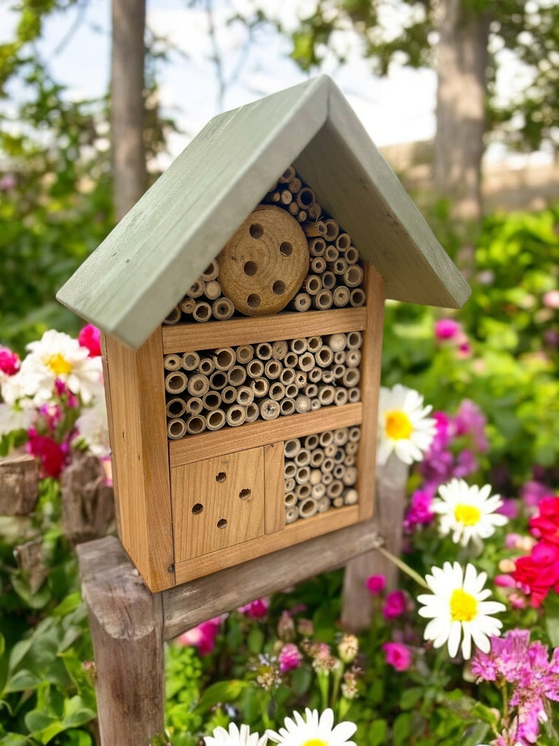 Baby Bugg Bug Hotel
