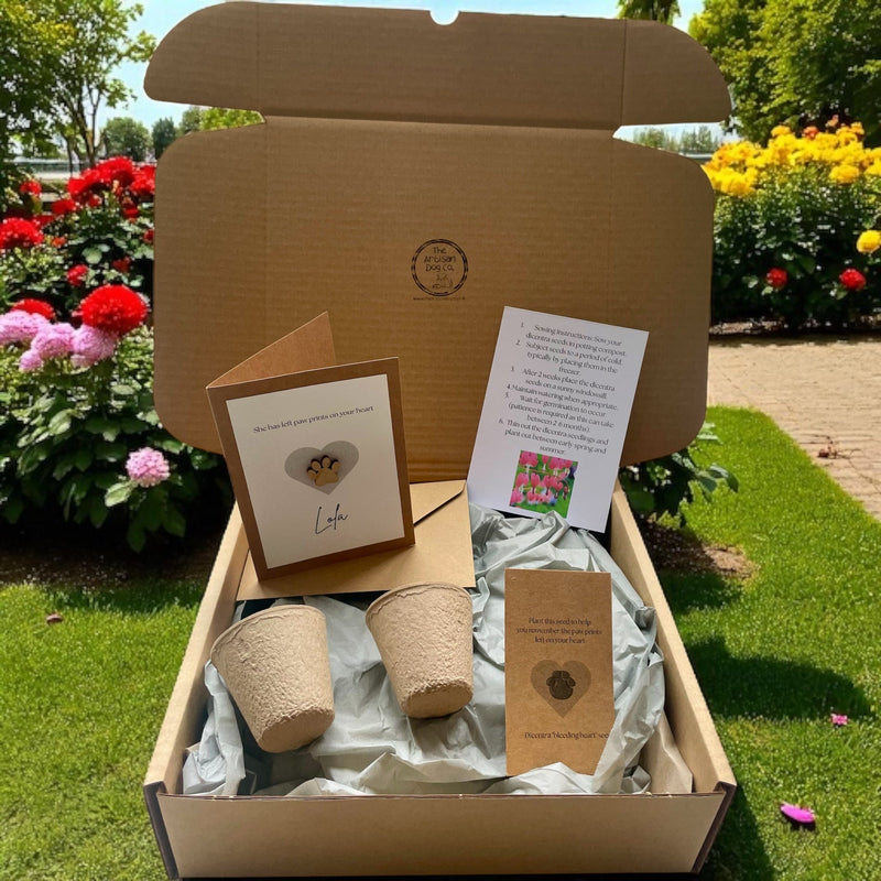 Personalised Pet Sympathy Gift Set – Memorial Plant Seeds & Card for Dog or Cat Loss