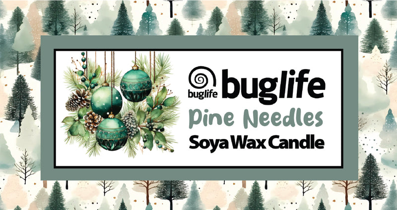Buglife Pine Needles Soya Wax candle
