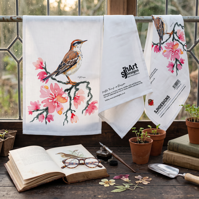 Mistle Thrust on Pink Blossom Towelling Tea Towels/Hand Towels