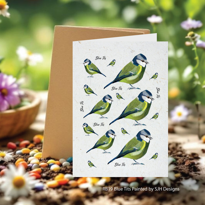 Blue Tit Seed Cards by SJH Designs